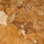 galeria_nerpio_07